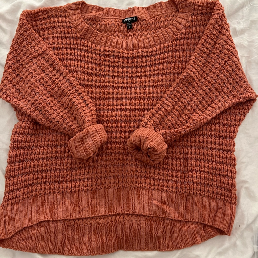 EXPRESS Pink Knit Sweater